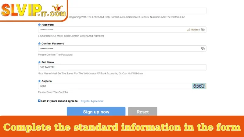 Complete the standard information in the form