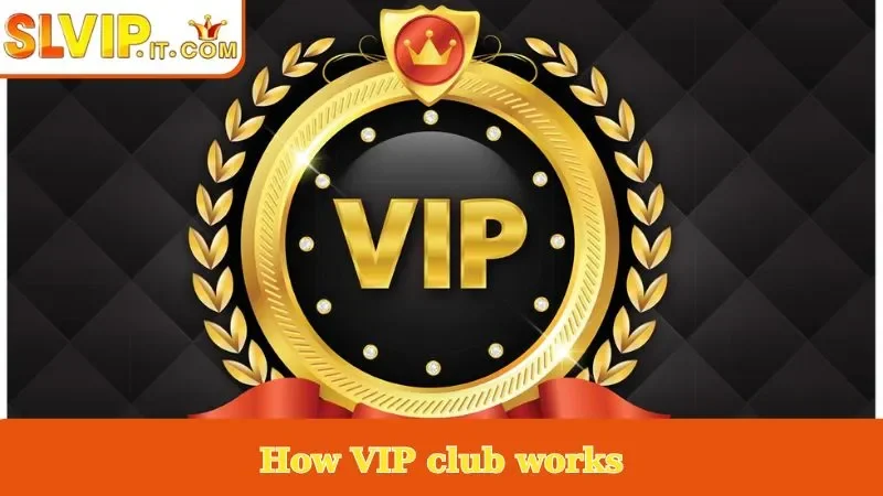 How VIP club works