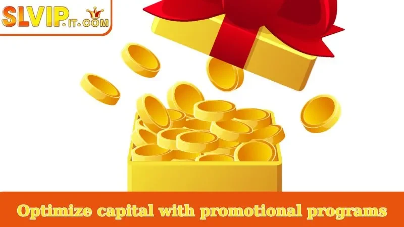 Optimize capital with promotional programs
