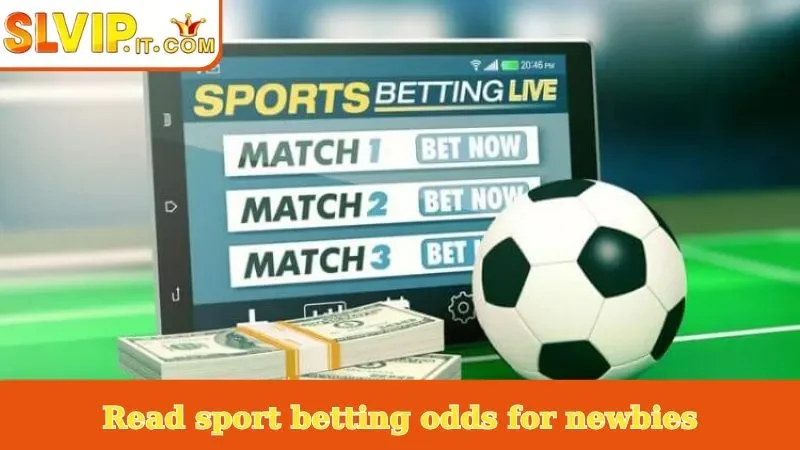 Read sport betting odds for newbies