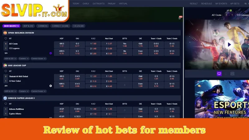 Review of hot bets for members