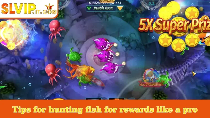 Tips for hunting fish for rewards like a pro