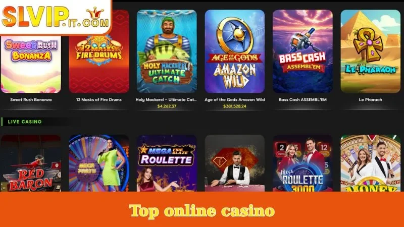 Top Online Casino