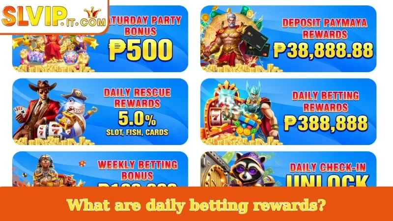 What are daily betting rewards?